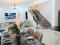 Luxurious Furnished villas in milimani 